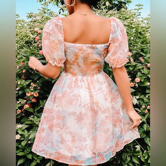 SWEET ORGANZA PINK BABY FLUFFY DRESS - Picture 2 of 2